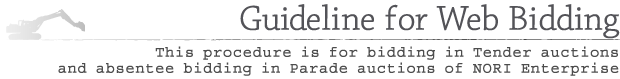 Web Bidding Guidance