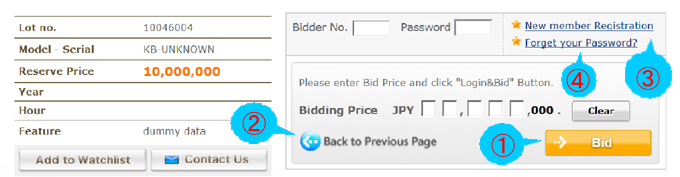 Detail Page of the item