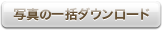 写真の一括ダウンロード