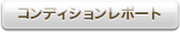 コンディションレポート